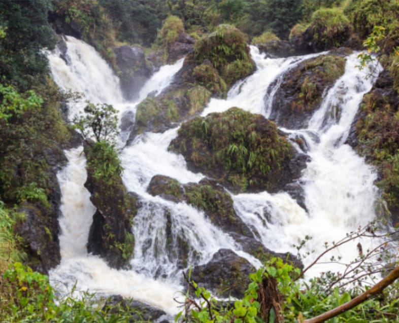 Tropical waterfall surrounded by lush greenery